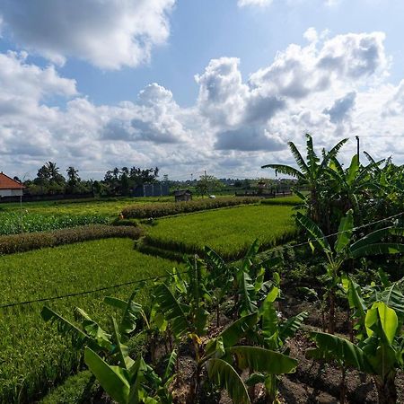 Oemah Joglo Bali Ubud Exterior foto